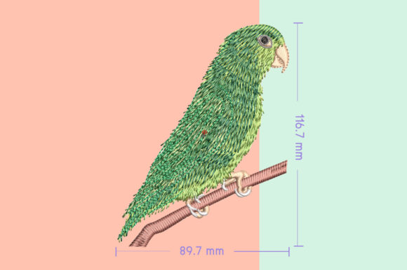Reviewing Forpus Green Cute Bird for Small Business Merch